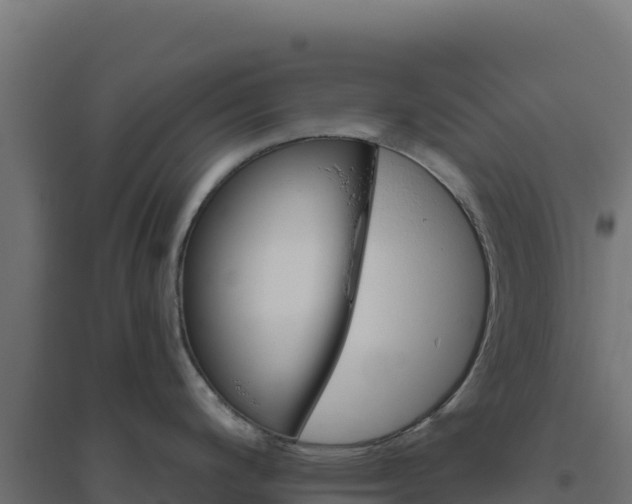 X0000094771200200711241310