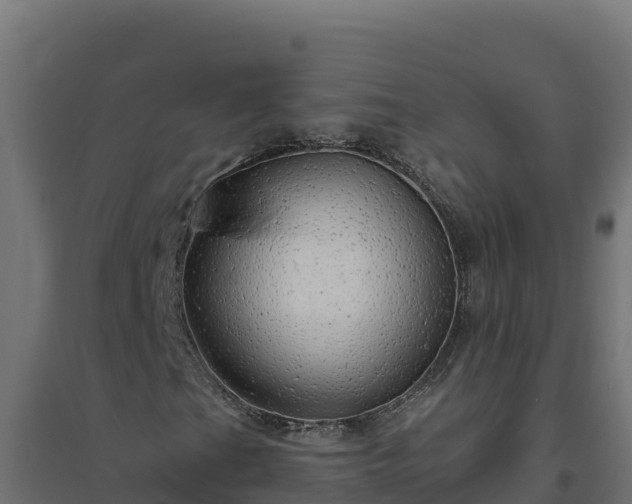 X0000094771201200711241309