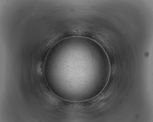 X0000094771202200711241309