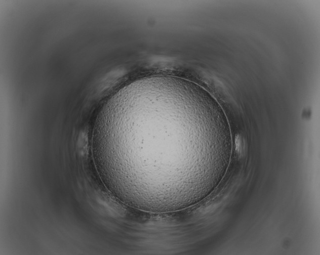 X0000094771203200711241309