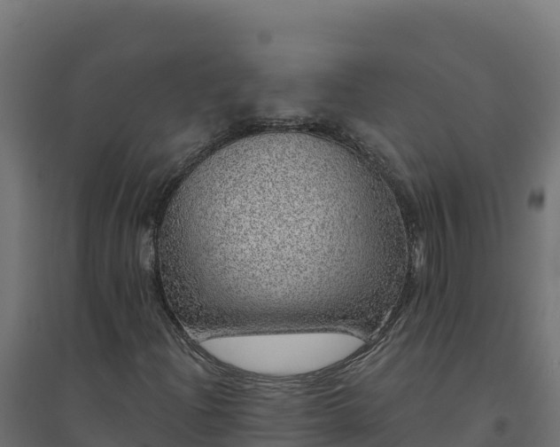 X0000094771204200711241309