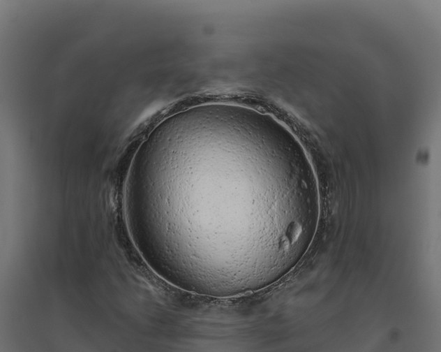 X0000094771206200711241309