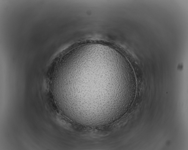 X0000094771207200711241309