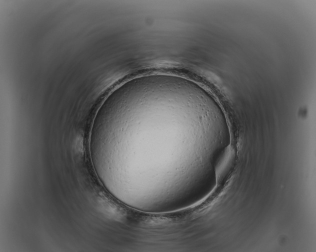 X0000094771209200711241309