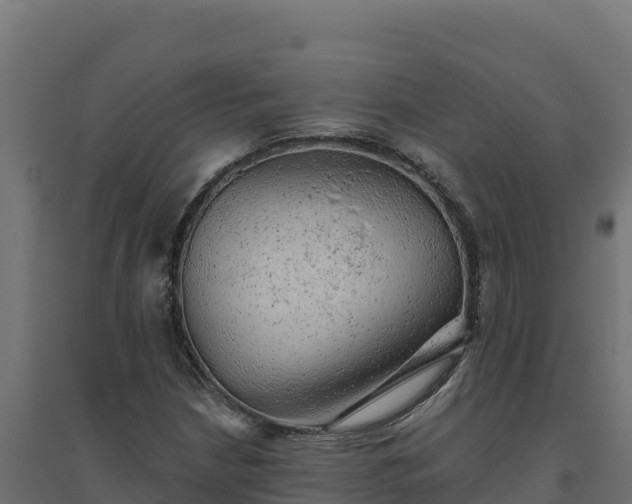 X0000094771210200711241309