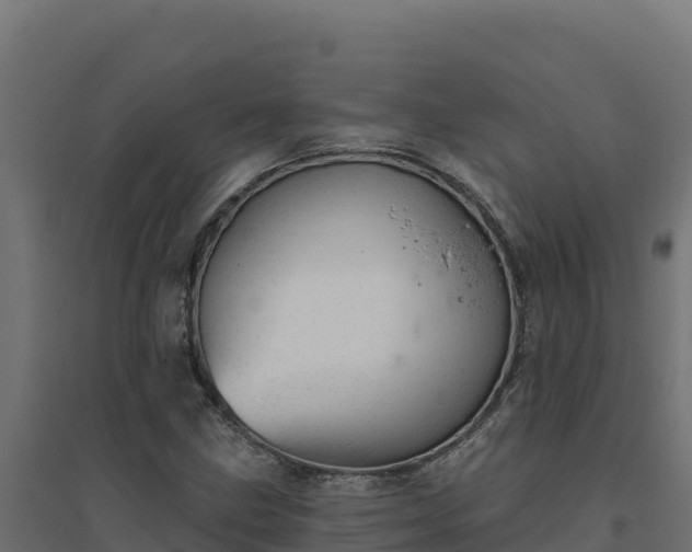 X0000094771211200711241309