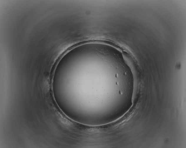 X0000094771212200711241309