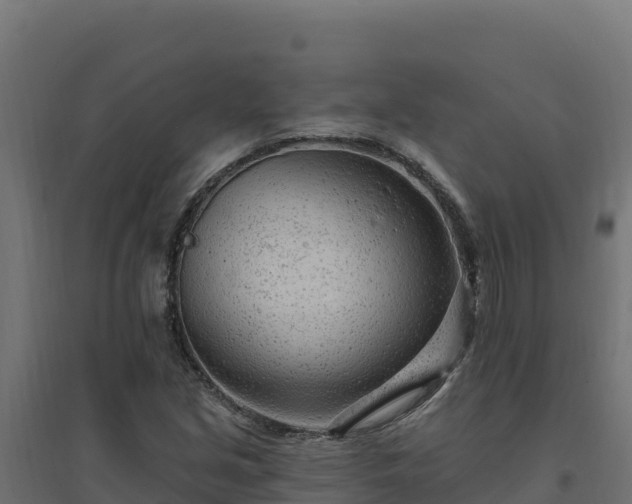 X0000094771213200711241309