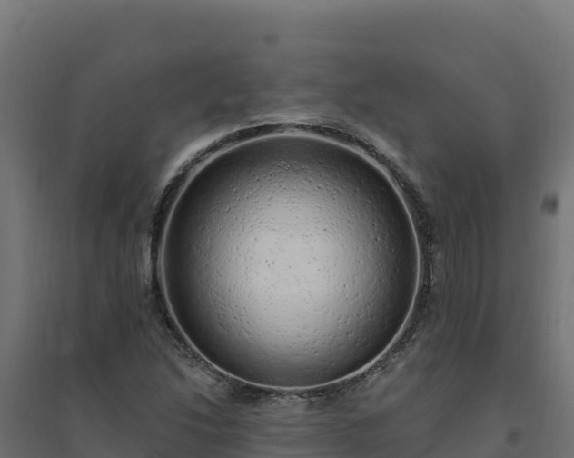 X0000094771214200711241309