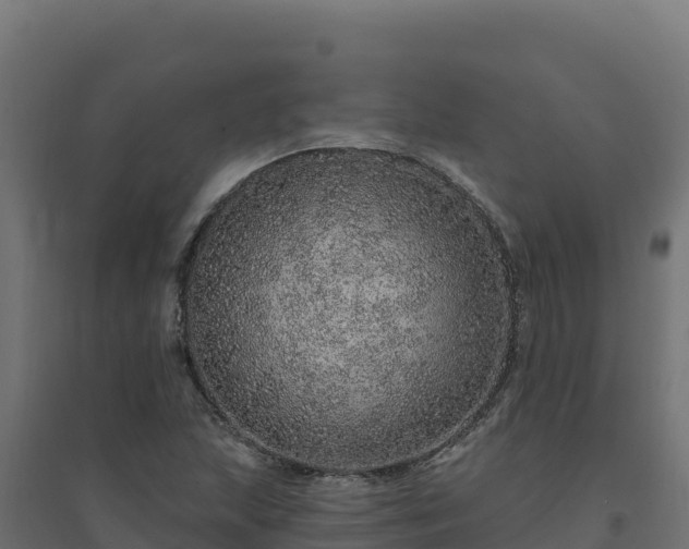 X0000094771215200711241309