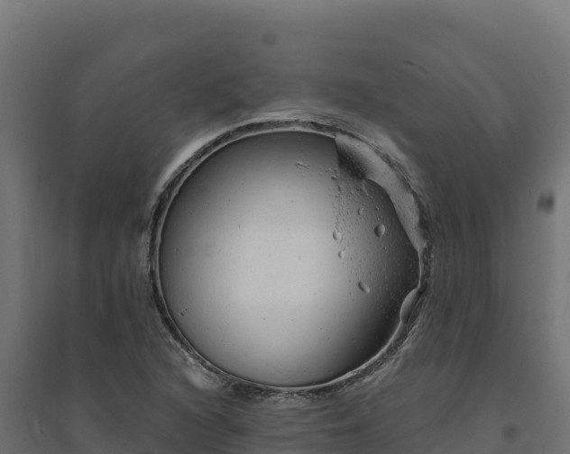 X0000094771216200711241309