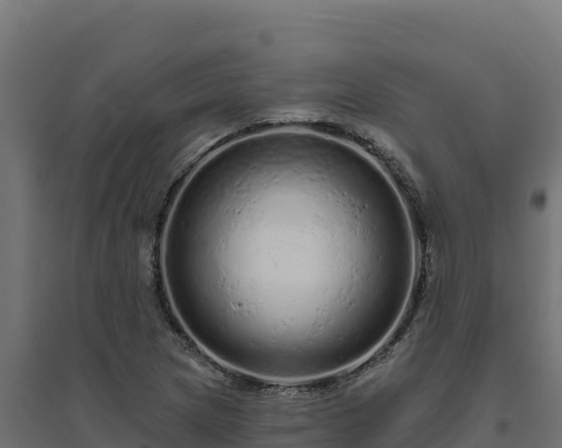 X0000094771217200711241309