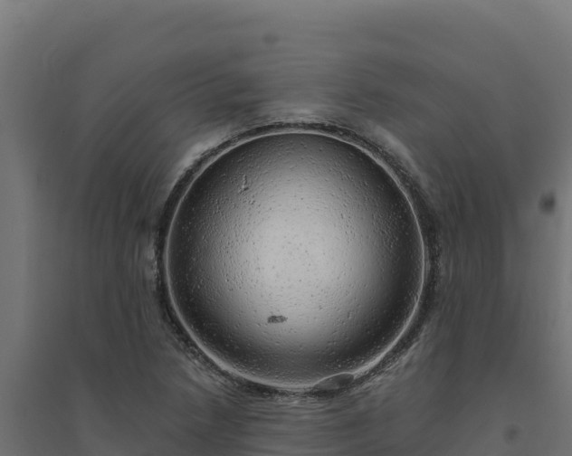 X0000094771218200711241309