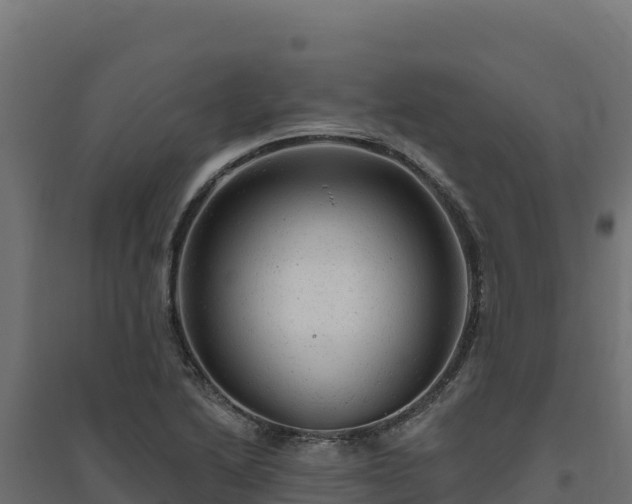 X0000094771222200711241309