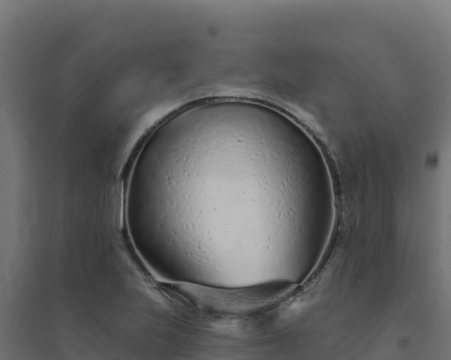 X0000094771223200711241309