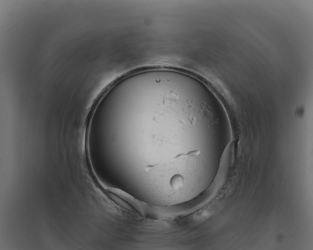 X0000094771224200711241309