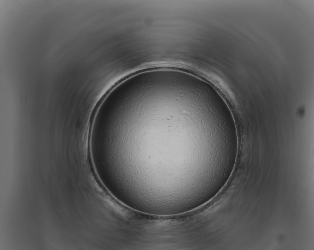 X0000094771228200711241309