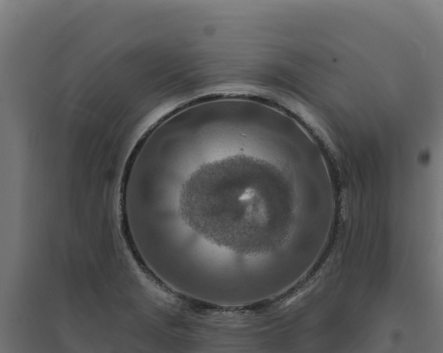 X0000094771229200711241309