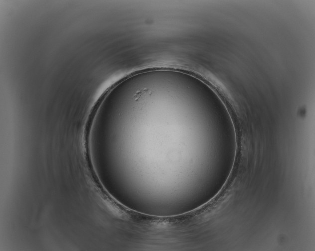 X0000094771230200711241309