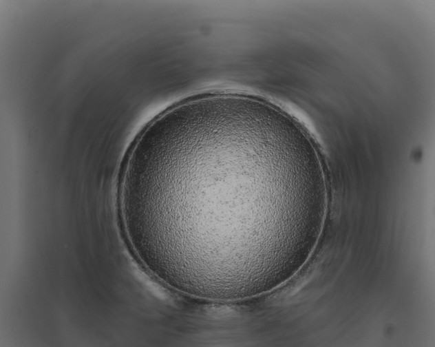 X0000094771231200711241309