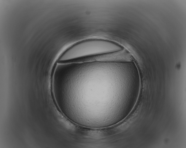 X0000094771232200711241310