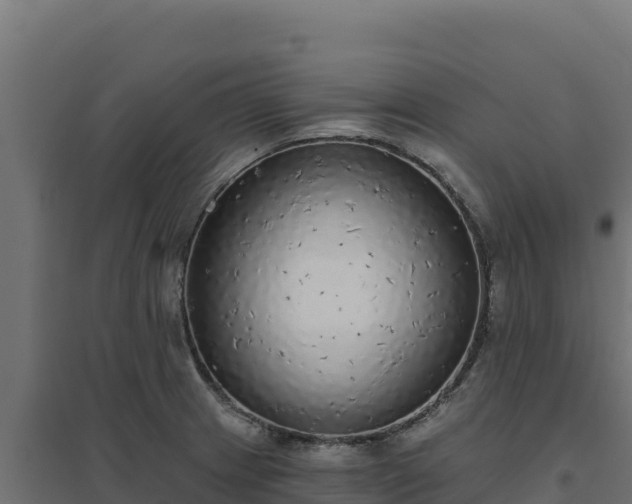 X0000094771233200711241310