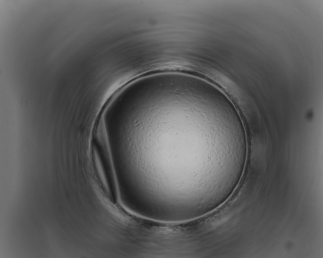 X0000094771234200711241310