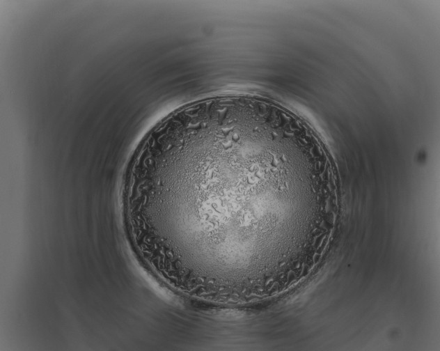 X0000094771235200711241310