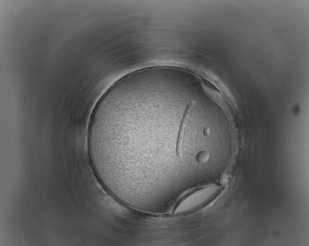 X0000094771236200711241310