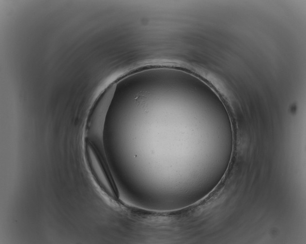 X0000094771237200711241310