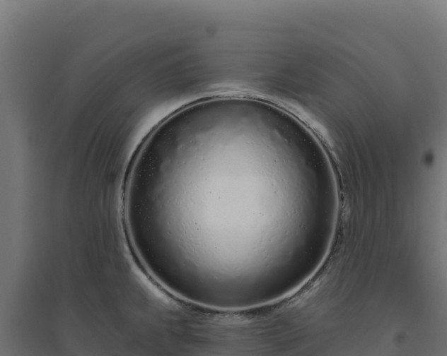 X0000094771239200711241310