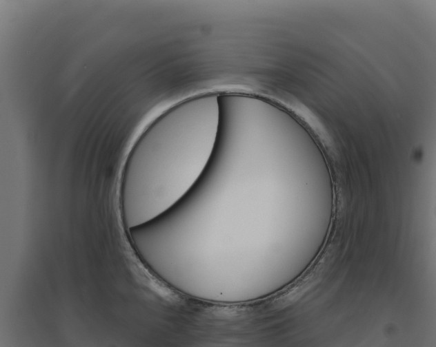 X0000094771240200711241310