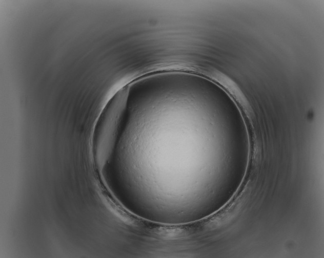 X0000094771242200711241310