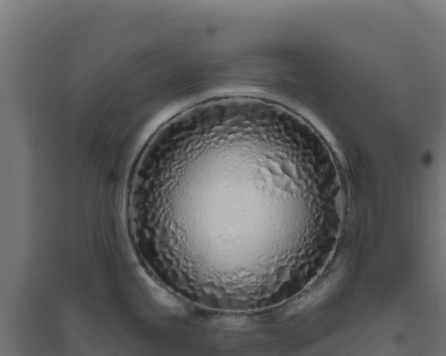 X0000094771245200711241310