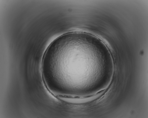 X0000094771247200711241310