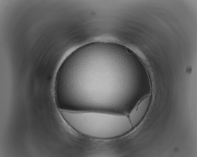 X0000094771248200711241310