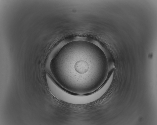 X0000094771249200711241309