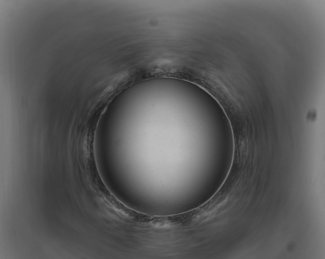 X0000094771250200711241309