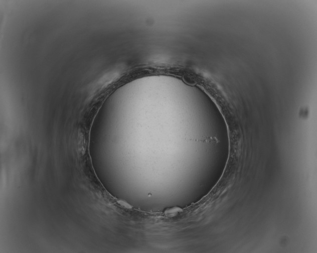 X0000094771253200711241309