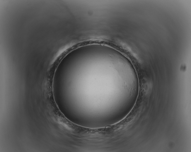 X0000094771256200711241309