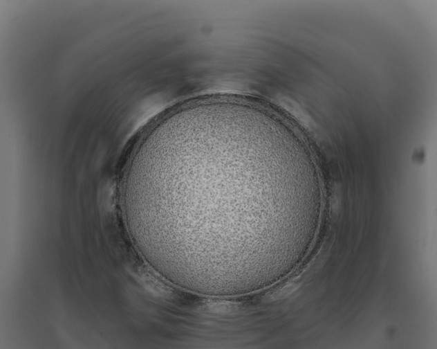 X0000094771258200711241309