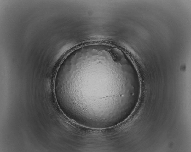 X0000094771259200711241309