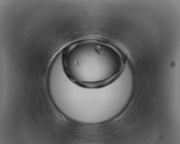 X0000094771260200711241309