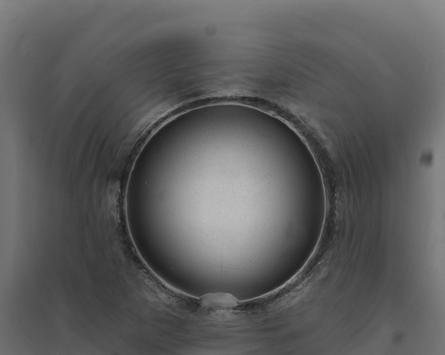 X0000094771265200711241309