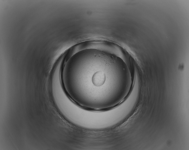 X0000094771269200711241309