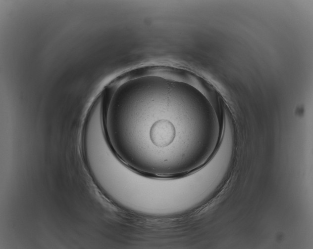 X0000094771272200711241309