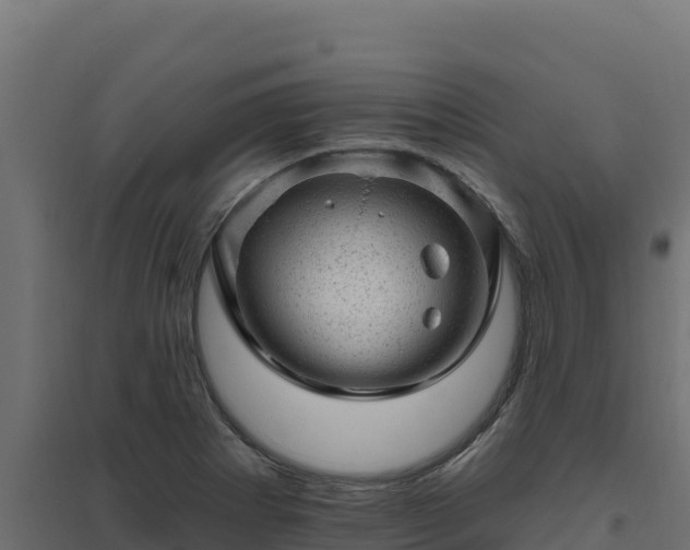 X0000094771273200711241309