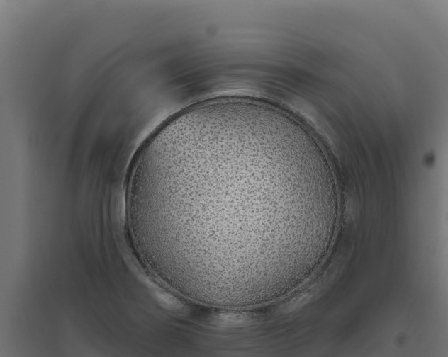 X0000094771274200711241309