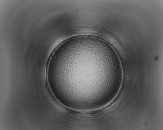 X0000094771275200711241309