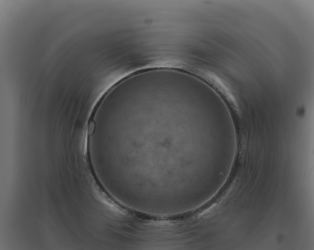 X0000094771276200711241309